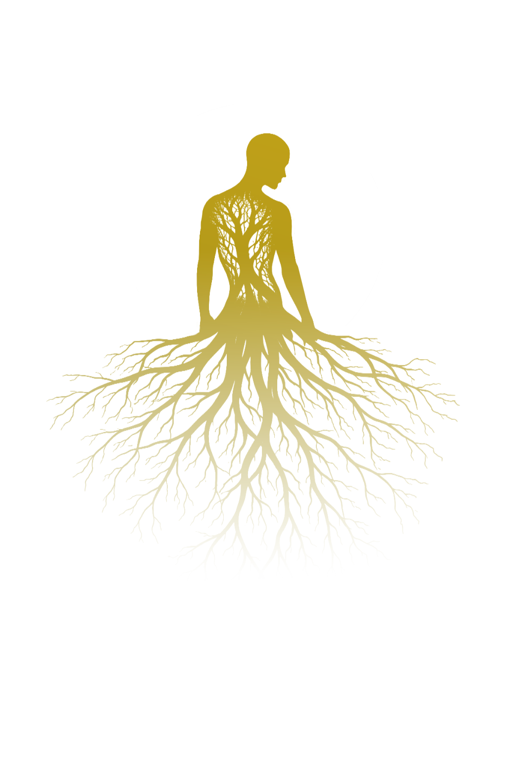 Results illustration